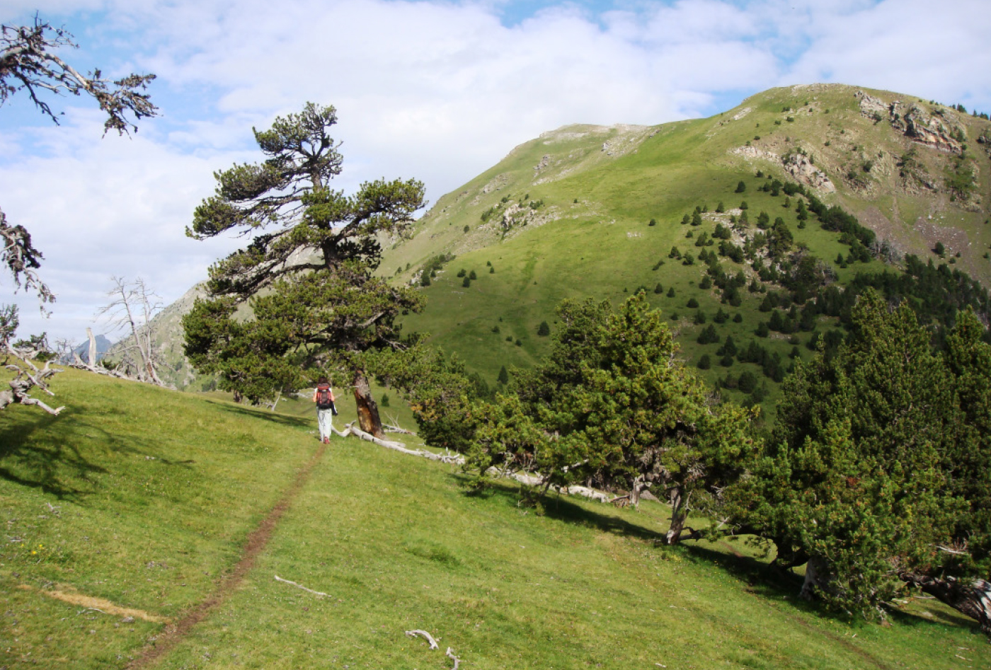 CARROS DE FOC RUTA MONTAÑA 2