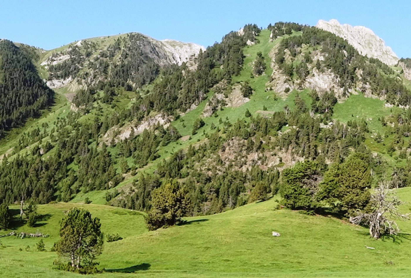 CARROS DE FOC RUTA 2 MONTAÑA 1
