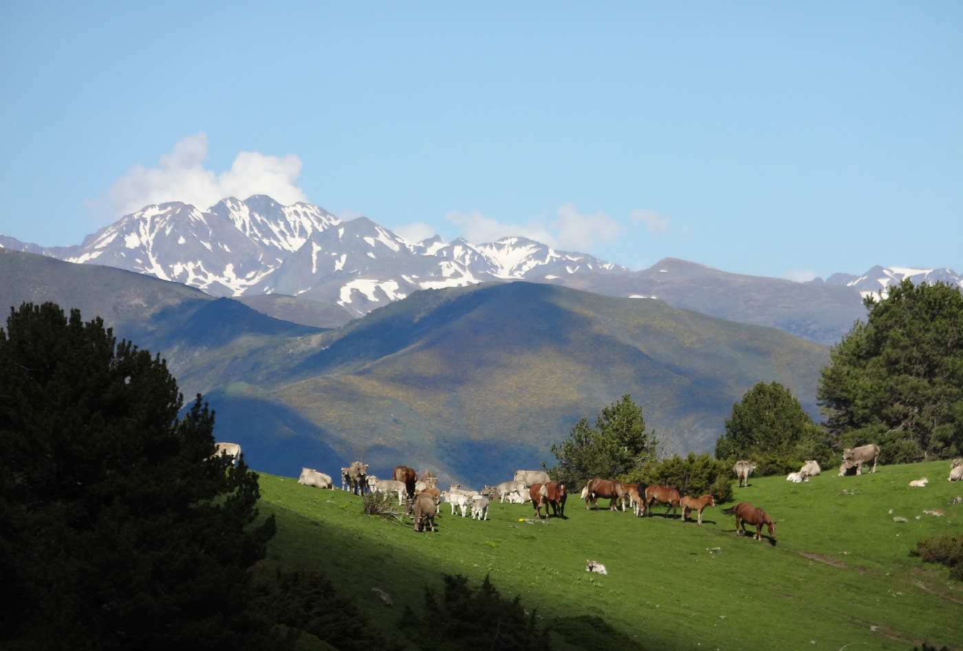 CARROS DE FOC RUTA 2 MONTAÑA 3