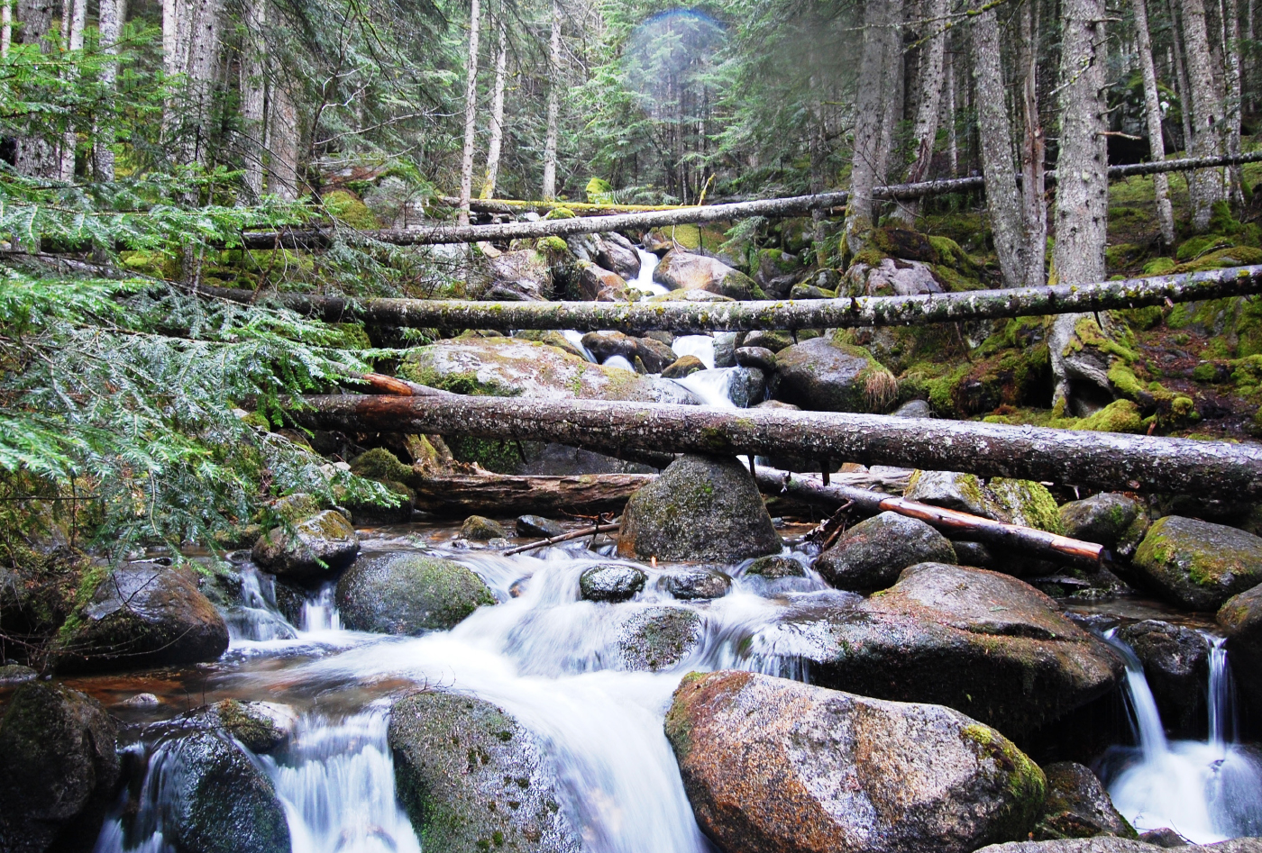 CARROS DE FOC RUTA 3 MONTAÑA 1