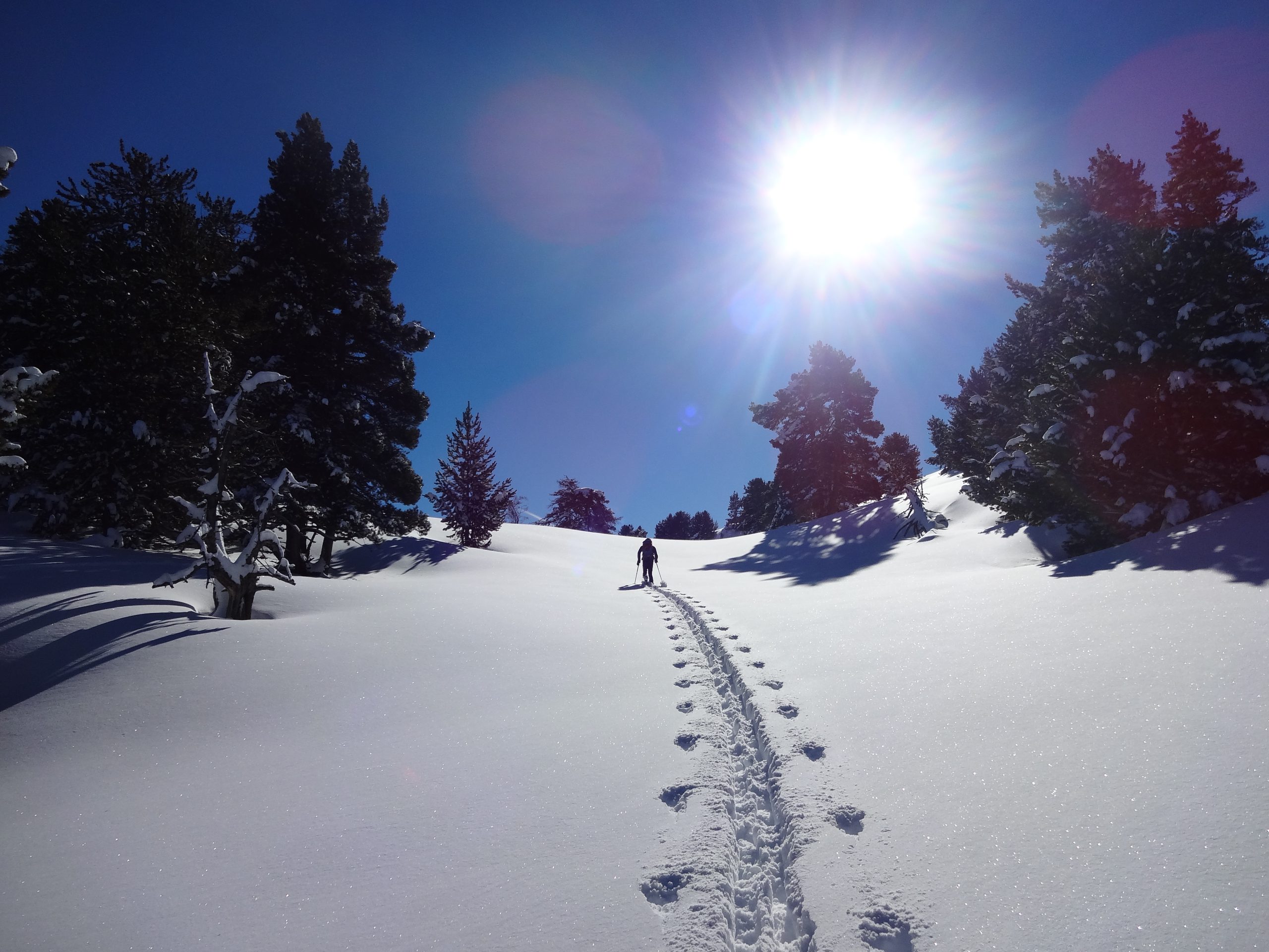 RAQUETES DE NEU VALL DE CABANES REFUGI DEL GERDAR PARC NACIONAL DAIGUESTORTES