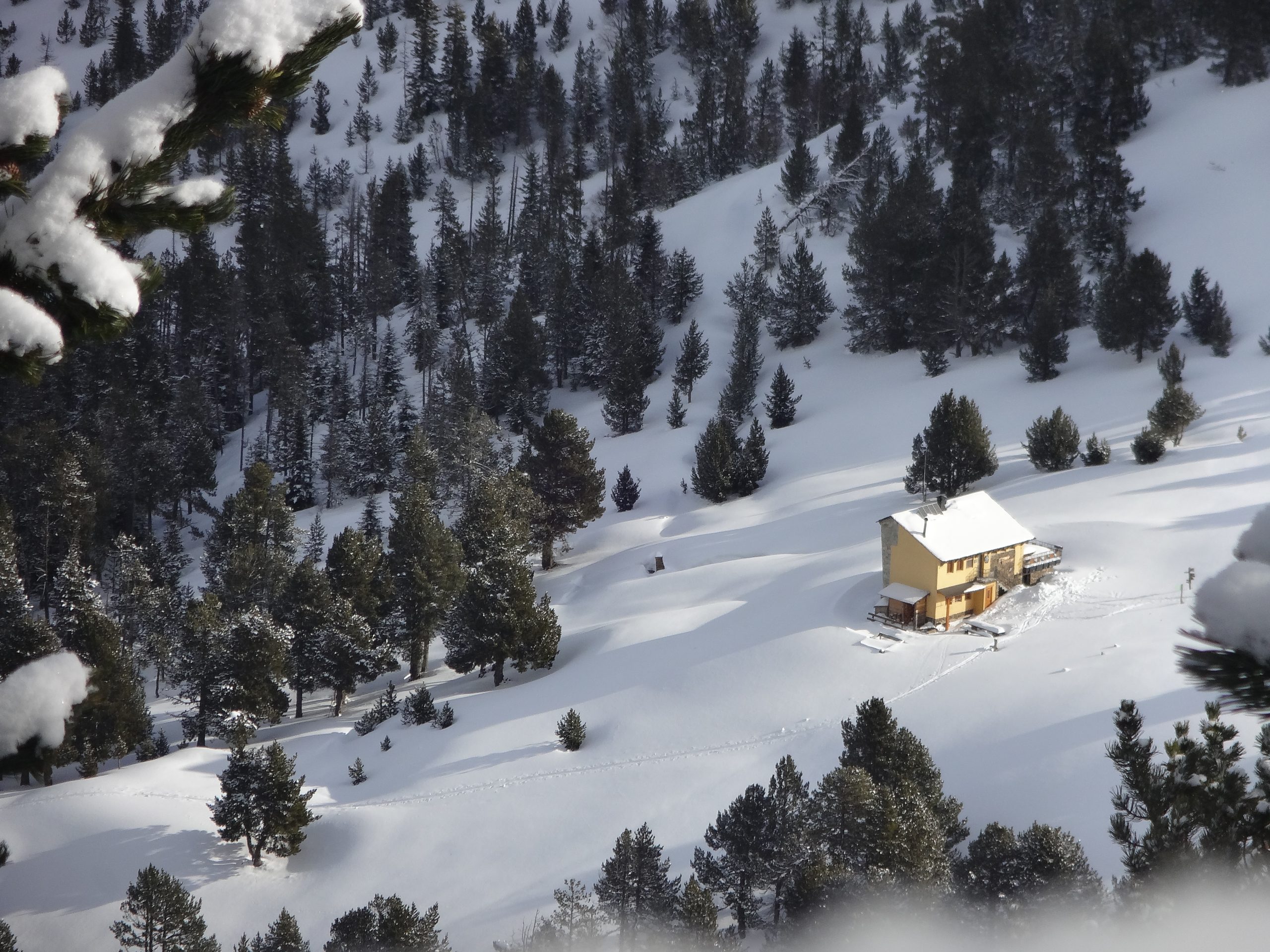 REFUGI DEL PLA DE LA FGONT HIVERN